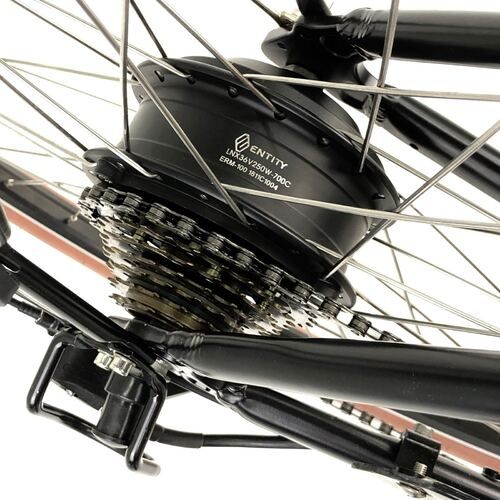 Entity ERM-200 36v 250W Rear Motor