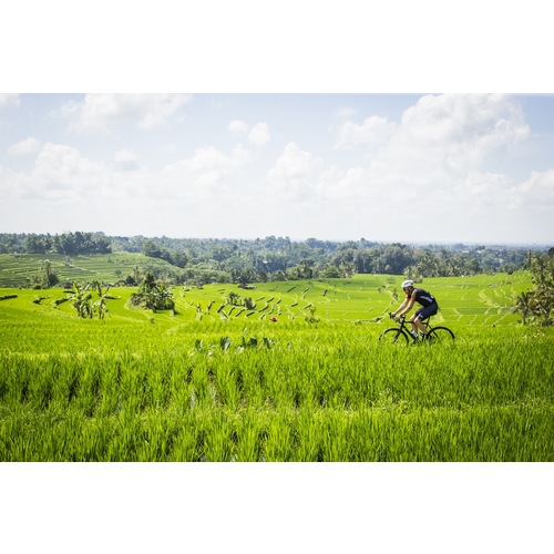 CyclingTips Roadtripping Bali image
